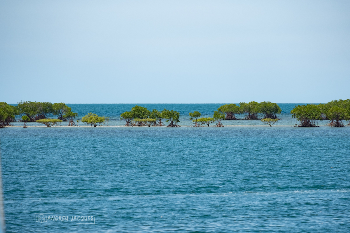 australie 2018-80.jpg